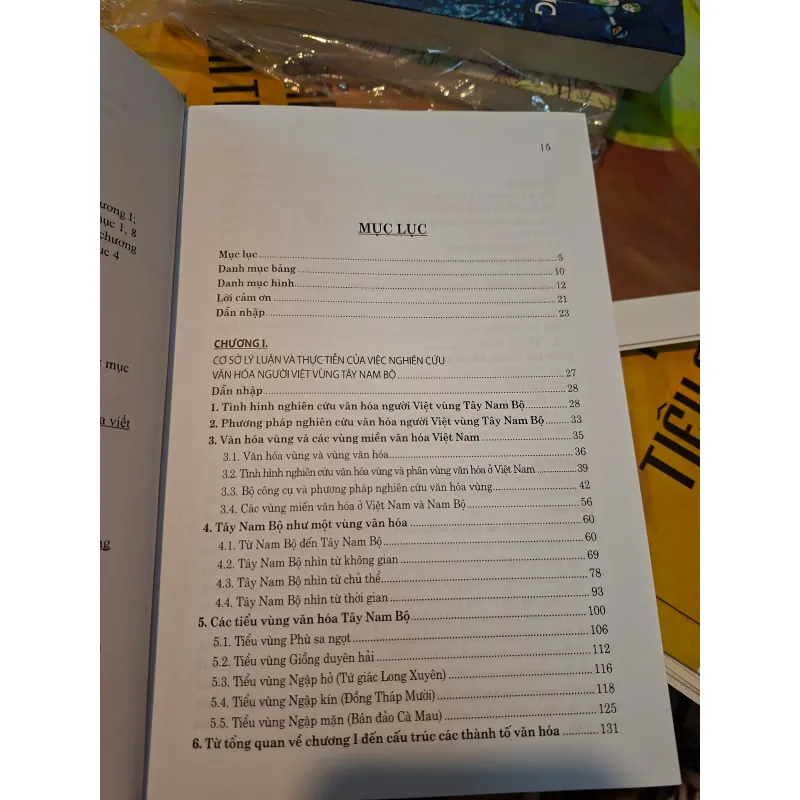 Văn hóa người Việt vùng Tây Nam Bộ  931145