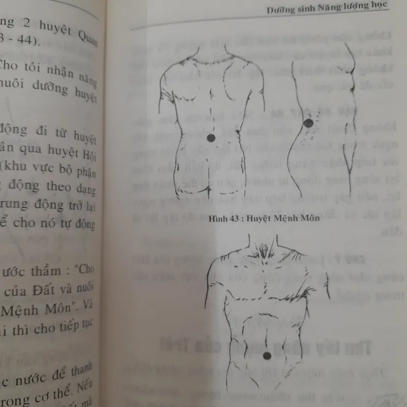 Dưỡng sinh năng lượng học 572362