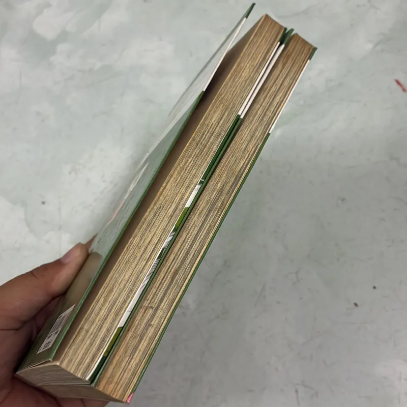 Natsume’s Book of friends 1002738