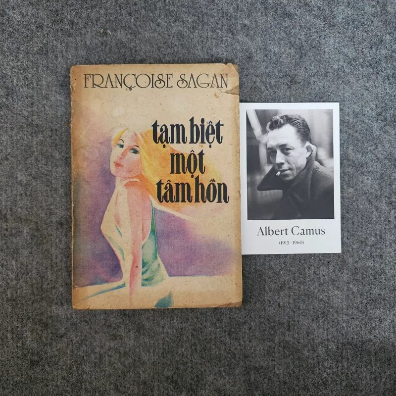 Tạm biệt một tâm hồn - Francoise Sagan 1025061