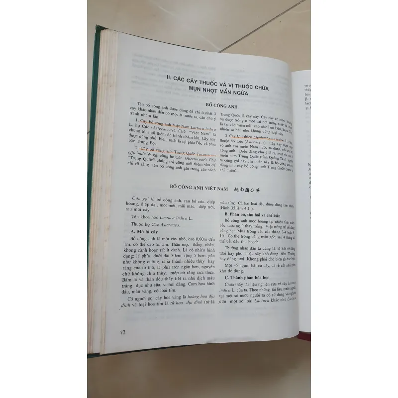 CÂY THUỐC VỊ THUỘC VIỆT NAM  931945