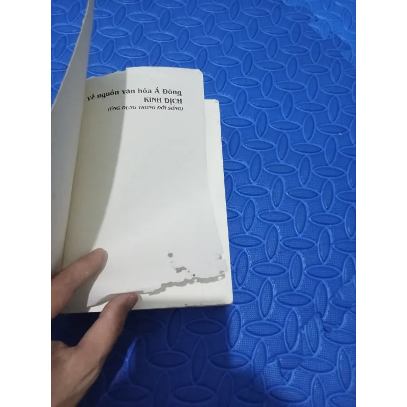 Về nguồn văn hóa Á Đông - Kinh dịch ứng dụng trong đời sống 973726