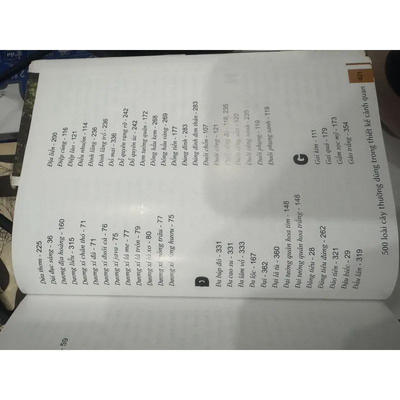 500 loài cây thường dùng trong thiết kế cảnh quan 929827