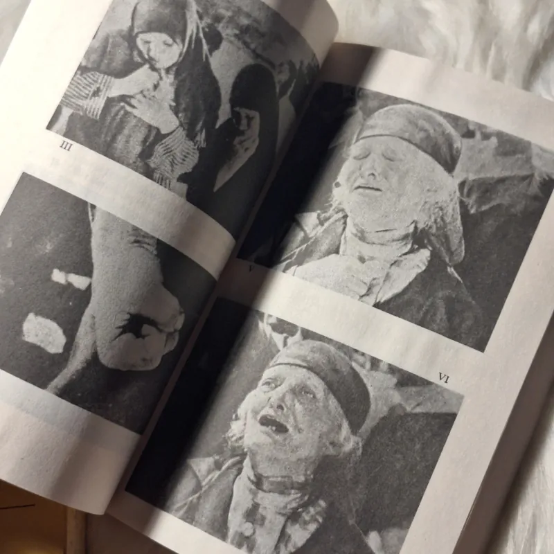 Roland Barthes - Image Music Text 957103