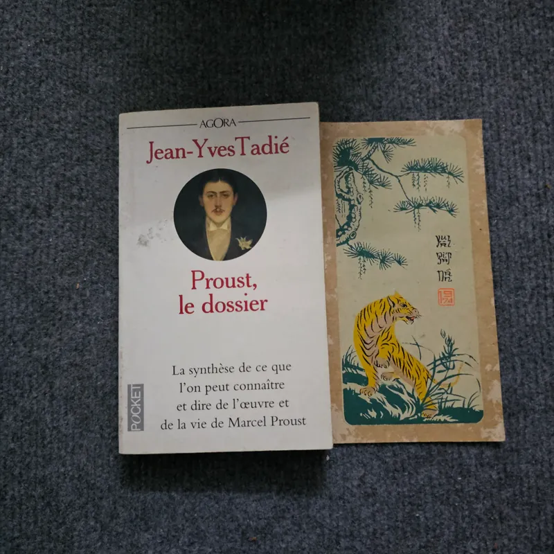 Proust le dossier 740733