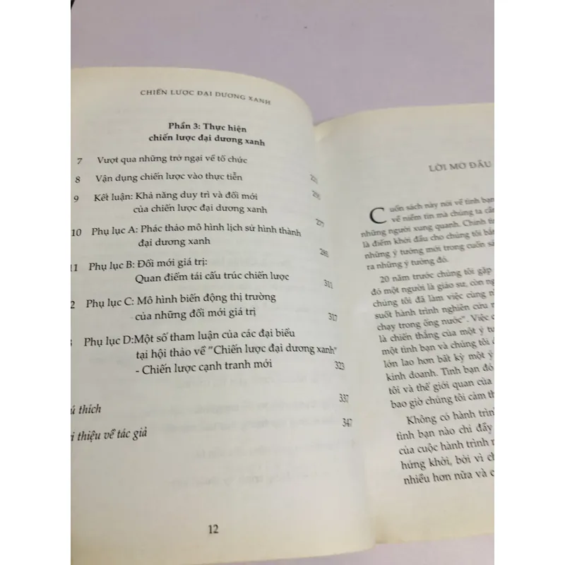 CHIẾN LƯỢC ĐẠI DƯƠNG XANH 702897