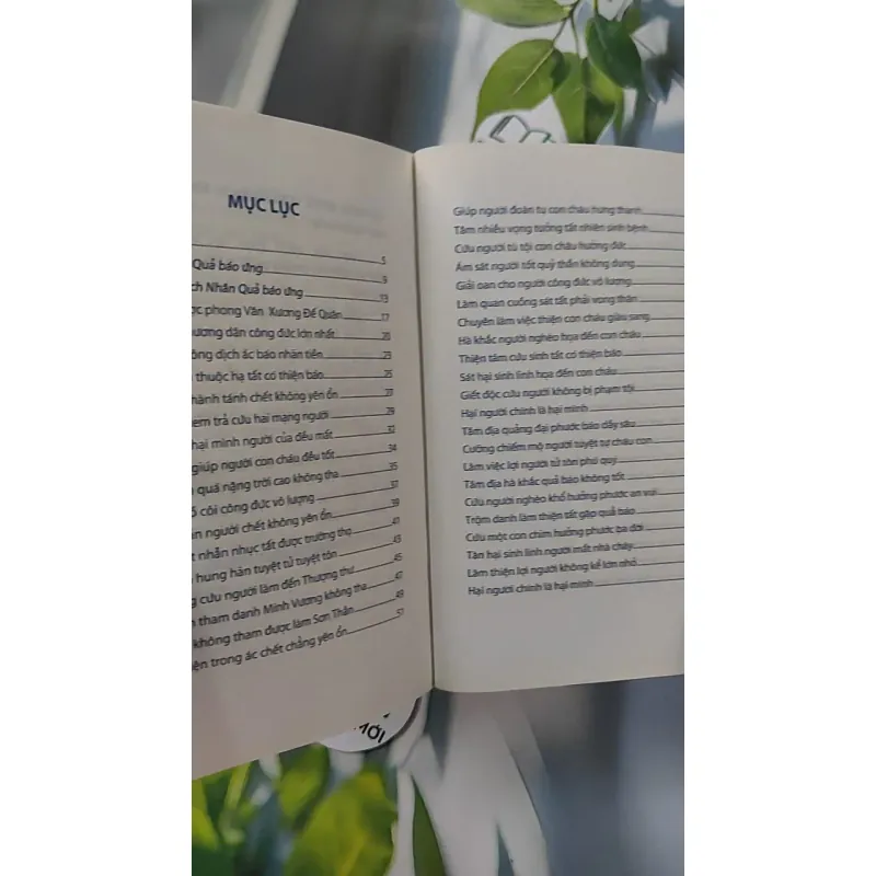 Combo: Nhân Quả Báo Ứng, Báo Ứng Hiện Đời 776102