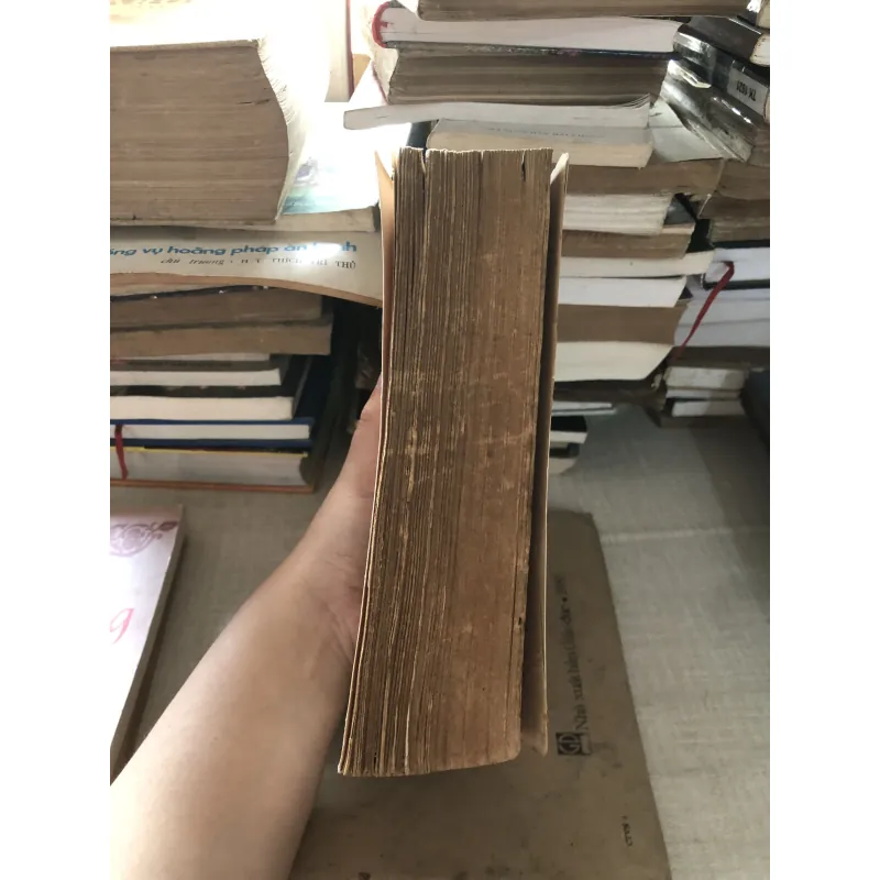 Lịch sử Đảng cộng sản Việt Nam 976100