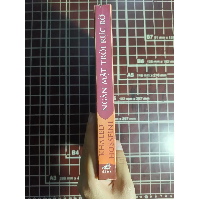 Ngàn mặt trời rực rỡ - Khaled Hoseini 754617