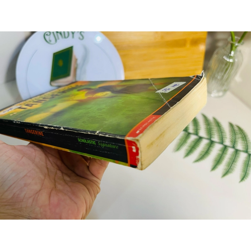 [Sách tiếng Anh 2hand] Like new 90% - Tangerine - Edward Bloor 507962