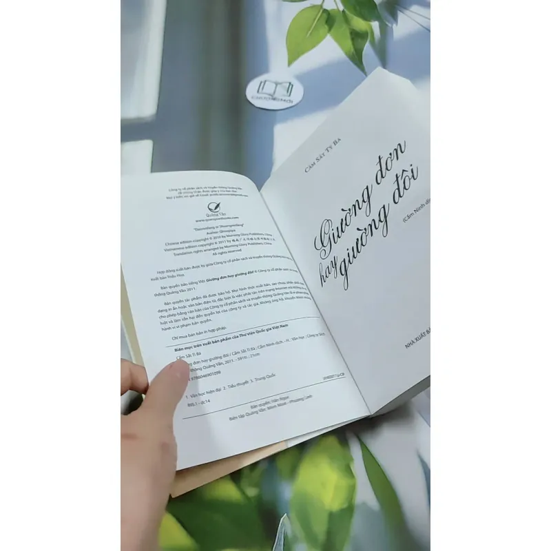 Giường Đơn Hay Giường Đôi - Cầm Sắt Tỳ Bà 744730