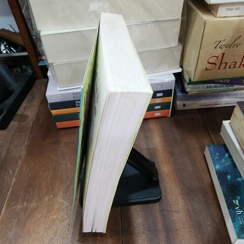 Tuyết hoa và cây quạt bí mật Lisa Lee 758952