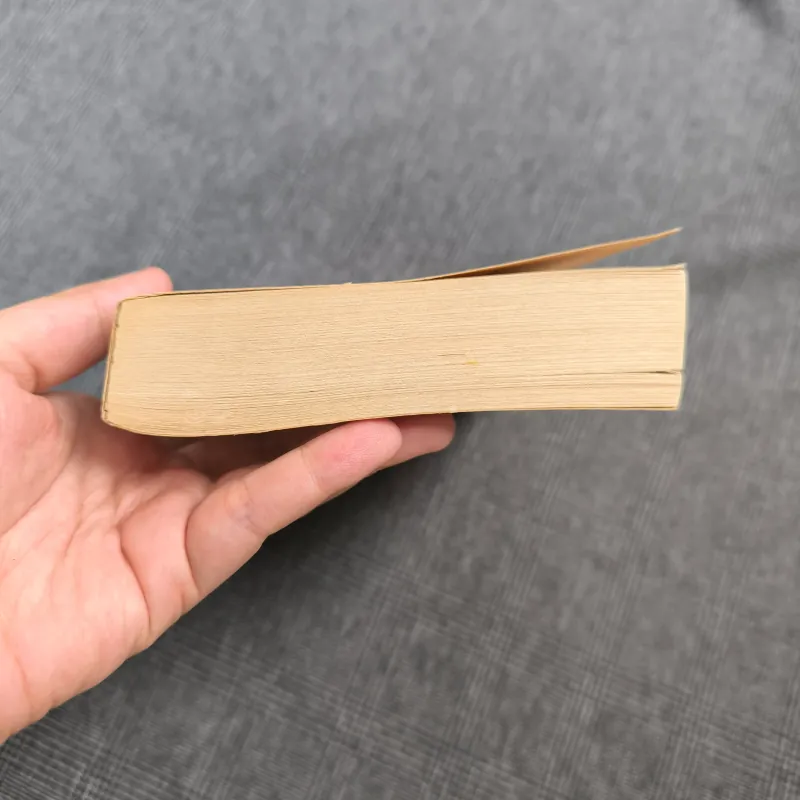 Pendragon Book 6: The Rivers of Zadaa - DJ Machale 735221