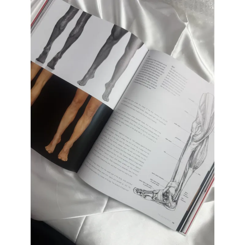 Sách dạy vẽ giải phẫu Anatomy for the Artist Sarah Simblet 1047573