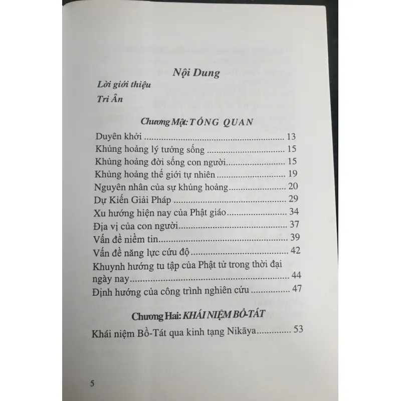 Khái niệm về Bồ tát Quán Thế Âm 701727