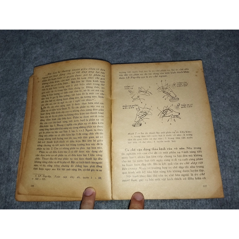 TÂM LÝ HỌC QUÂN SỰ 517644