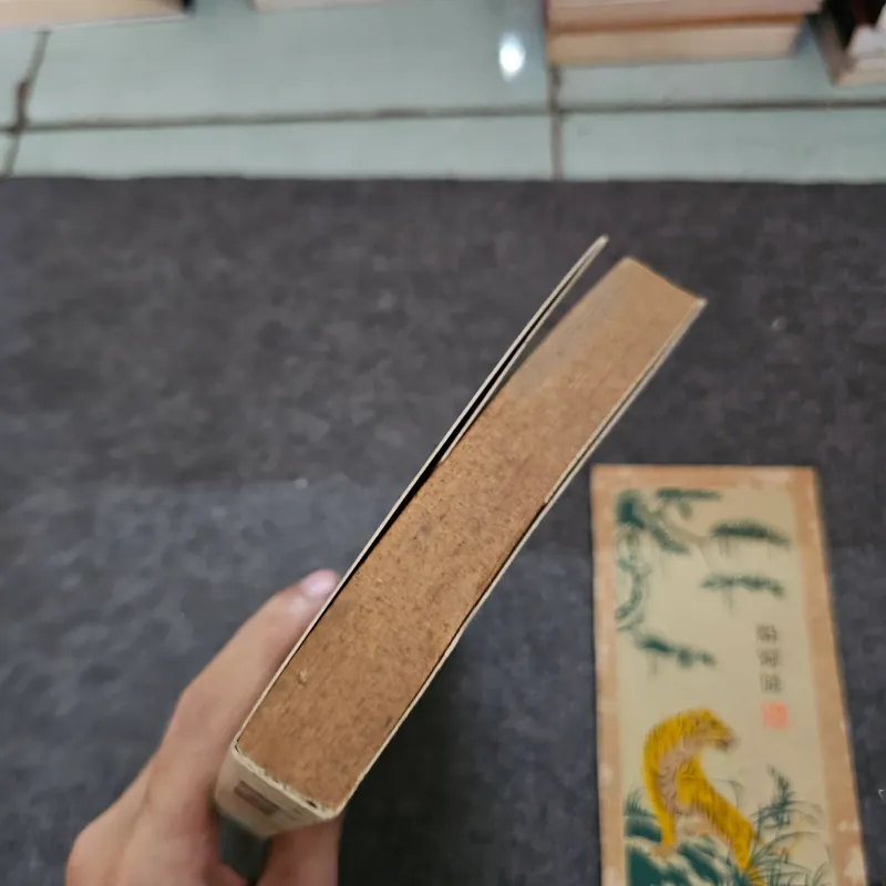 Hà nội thì không có tuyết 737260