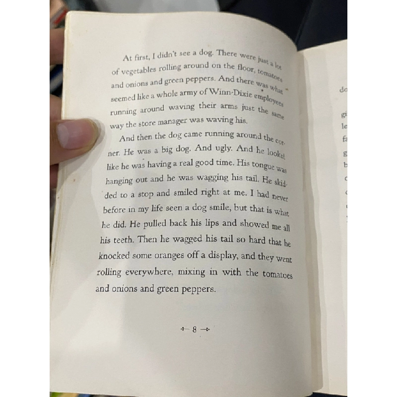 Because of Winn-Dixie - Kate DiCamillo 498632