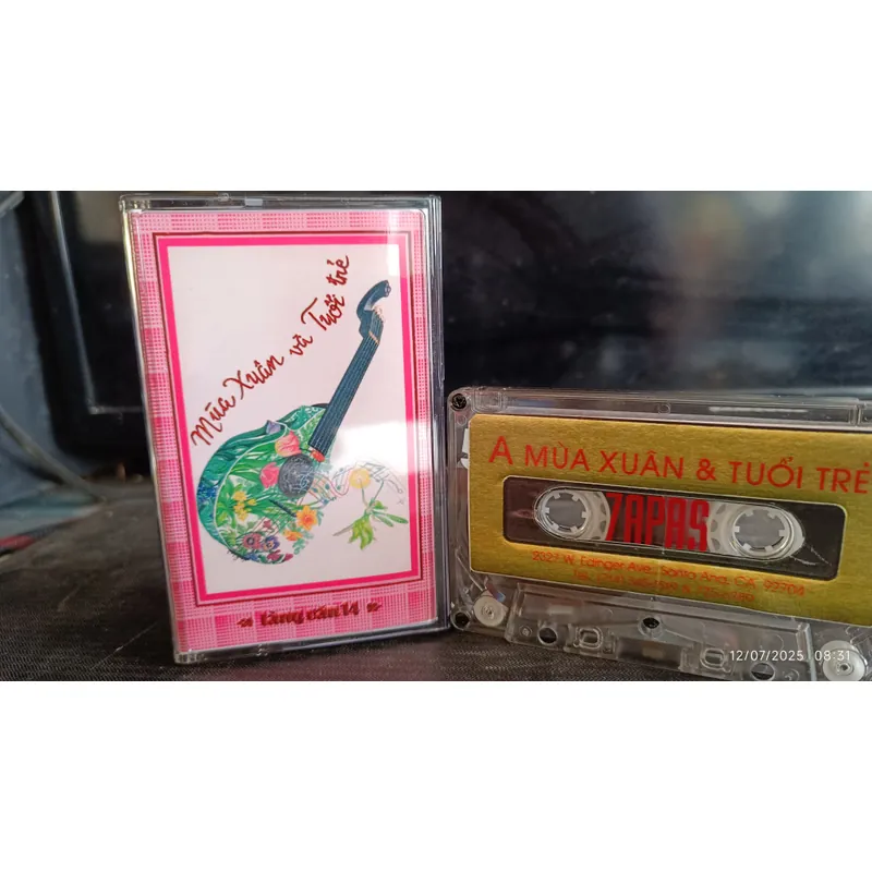 Băng Cassette Nhạc Mùa Xuân Và Tuổi Trẻ Làng Văn 14 720082