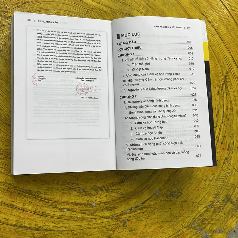 CẢM XẠ HỌC VÀ ĐỜI SỐNG- DƯ QUANG CHÂU 603154