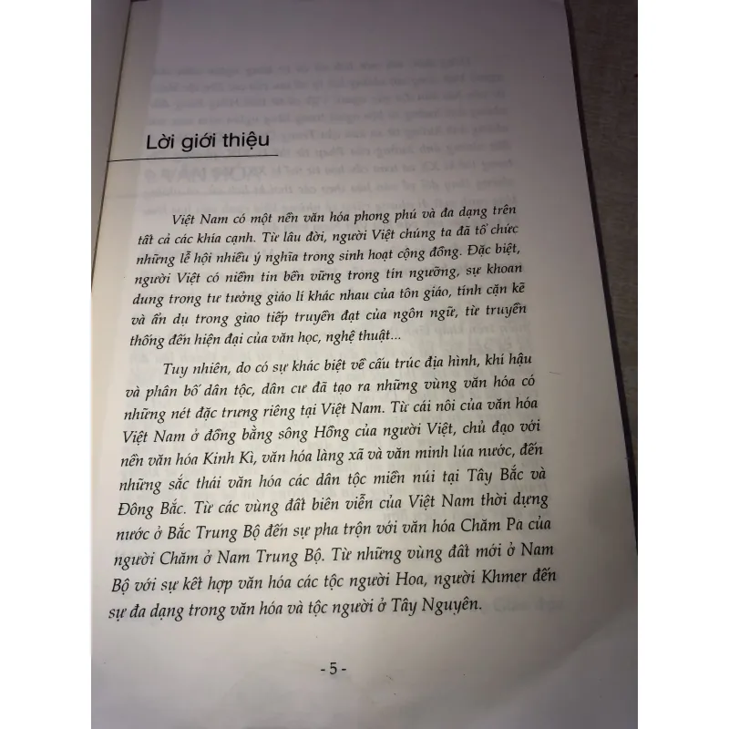 Một số nét độc đáo trong văn hoá vùng miền việt nam 993741