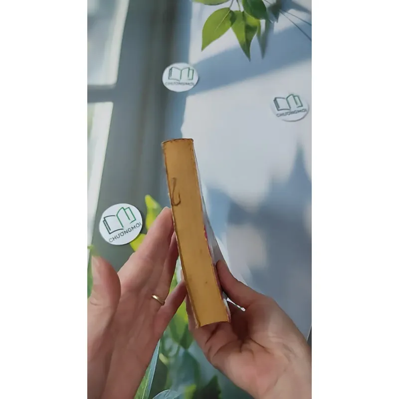 [XƯA] Trên Tay Lái (1991) - Arthur Hailey 997665