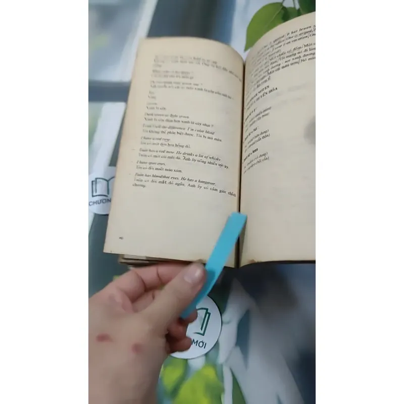 Tiếng Anh Thực Dụng Dễ Học 727293