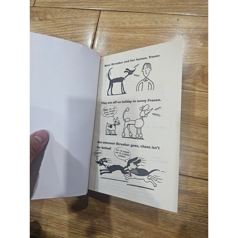 6q tiếng anh như hình 80k 528140