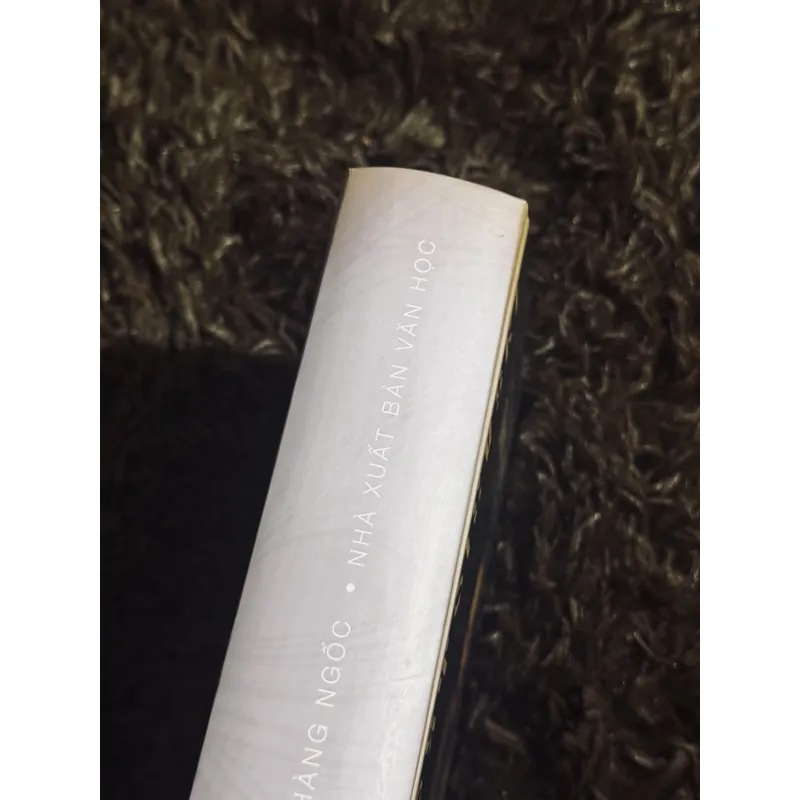 Chàng ngốc - Dostoevsky 713096