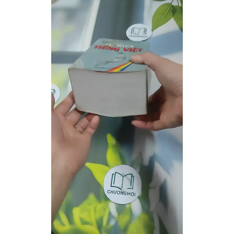 Từ Điển Tiếng Việt 727391