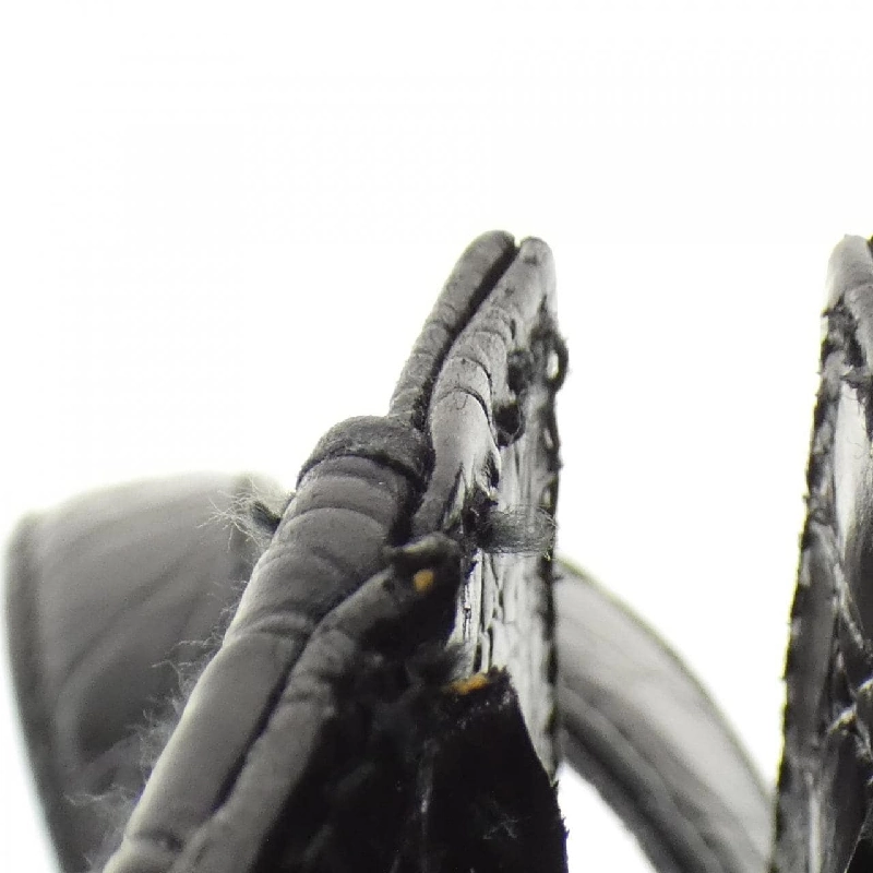 【Vintage】Túi Salvatore Ferragamo 21 4178 618516