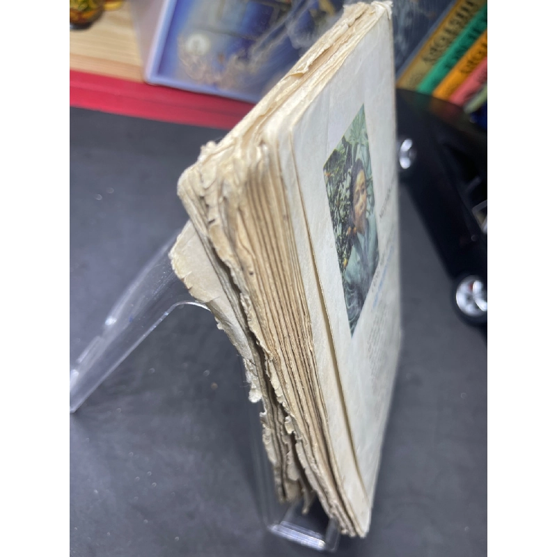 Hoa hoàng lan 1995 mới 50% ố vàng bụng xấu Nguyễn Phan Hách HPB0906 SÁCH VĂN HỌC 914984