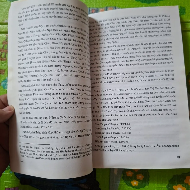 Đại cương Lịch sử Việt Nam - Tập I 1006047