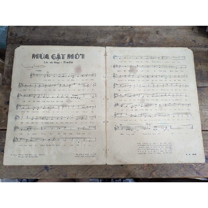 Mùa Gặt Mới - Thu Hồ 190873