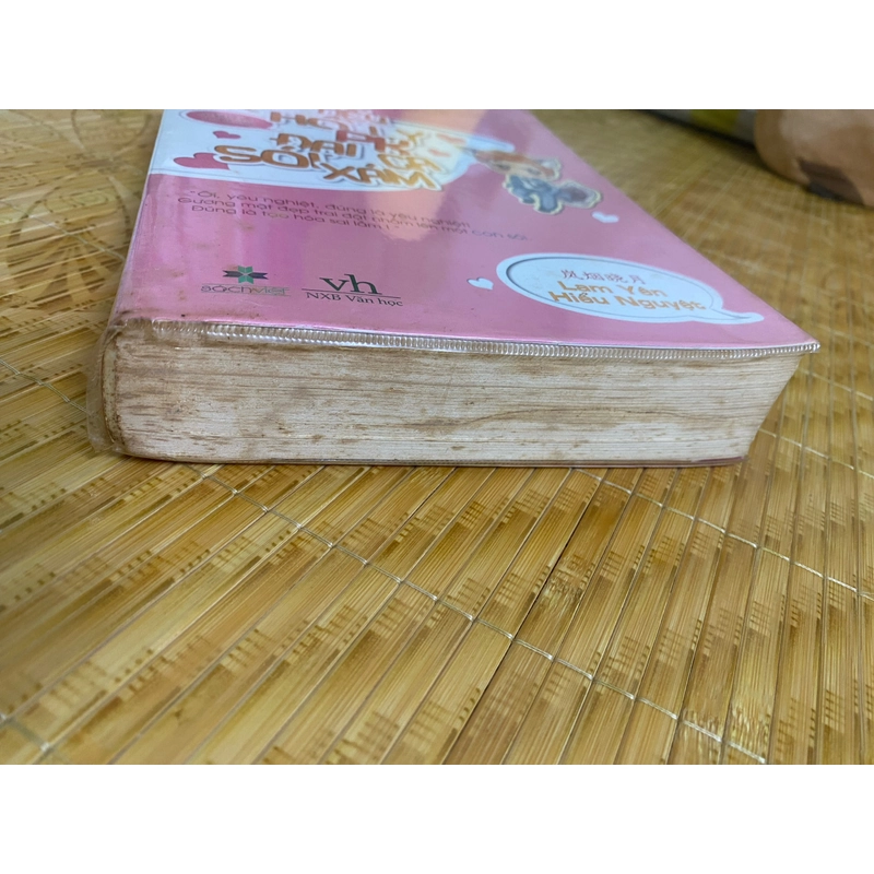 Tiểu hồ ly PK đại ca sói xám 479227