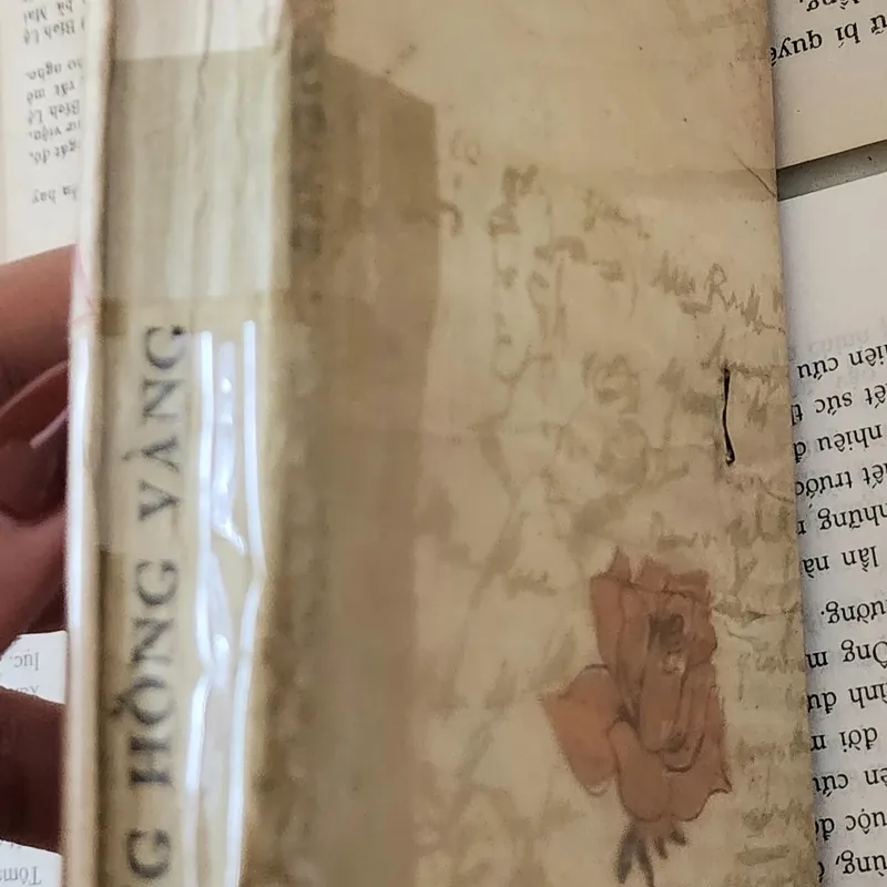 Konstantin Georgiyevich Paustovsky - tập truyện ngắn BÔNG HỒNG VÀNG 709260