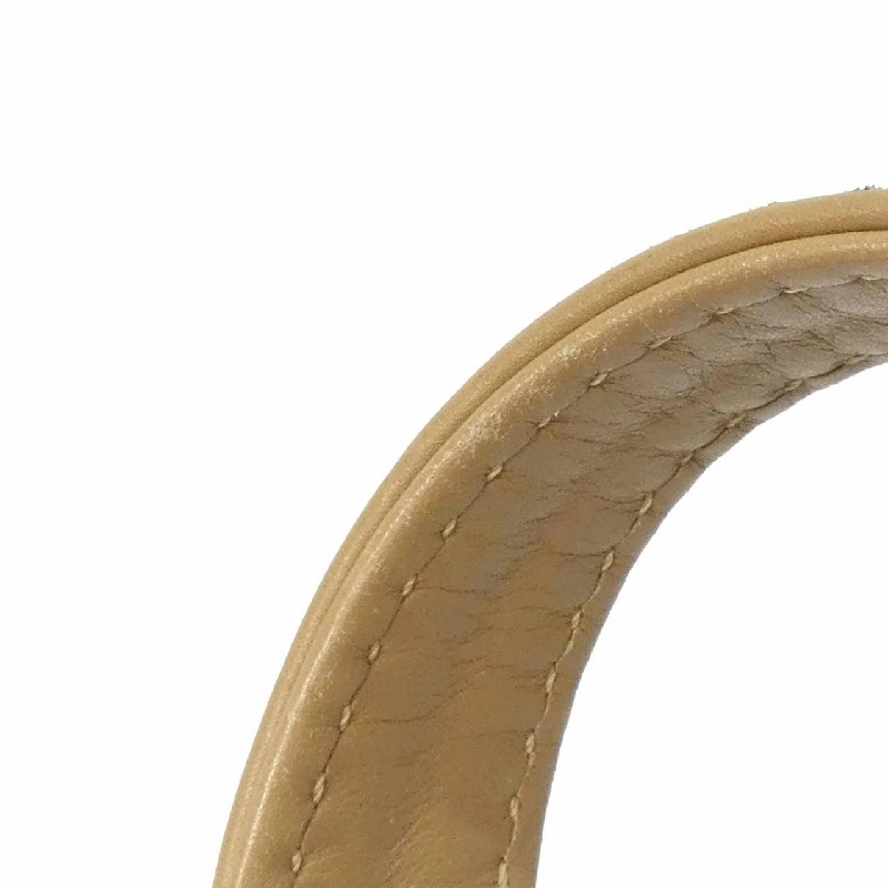 Túi xách chéo Wild Stitch Line 16799 của Chanel - Hàng hiệu Authentic 767995