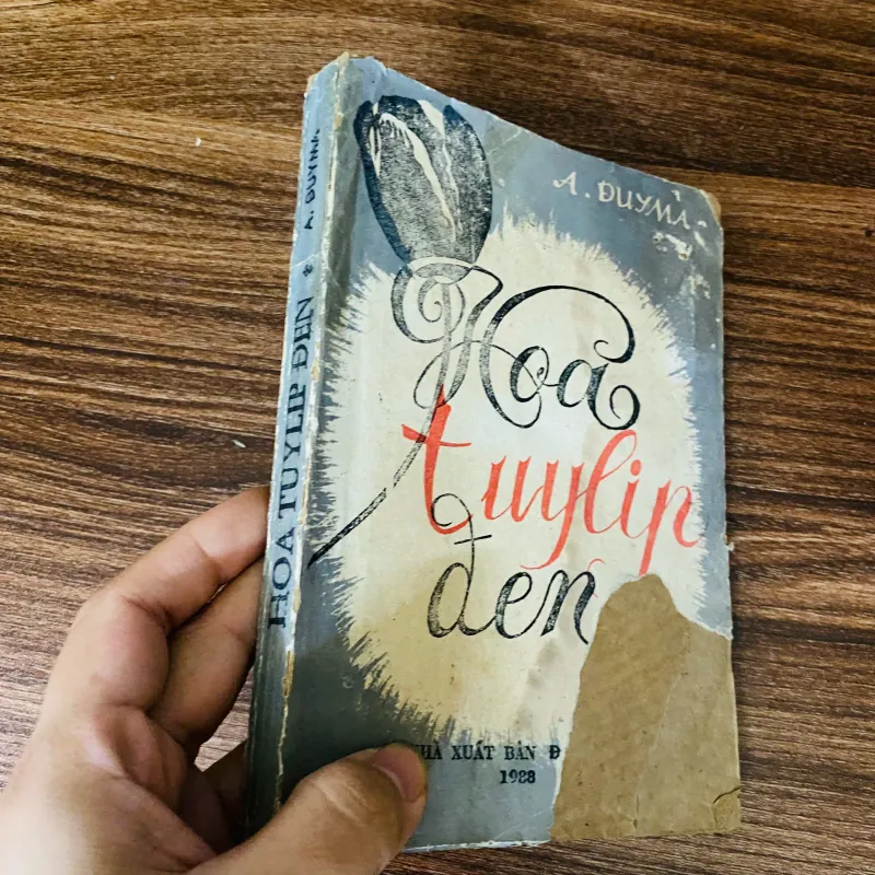 Hoa tuylip đen - A, Dumas 960882