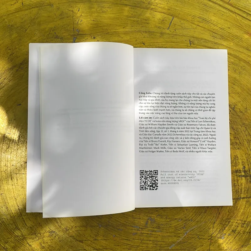 ÍT NGƯỜI BIẾT SỰ THẬT VỀ ĐIỆN VÀ TƯƠNG LAI CỦA NĂNG LƯỢNG-bản sửa đổi-SCHERNIKAU & SMITH 1002349