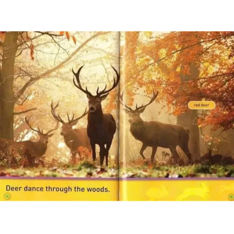 National Geographic kids - Level pre reader 30 cuốn giấy bóng đẹp tặng Audio 1000806
