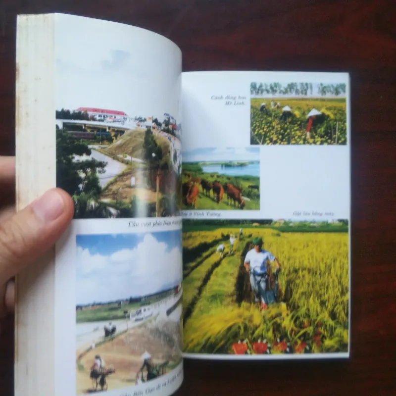 [Sách Văn Hóa] Vĩnh Phúc - Đất Thắng Tích Và Lễ Hội - Việt Nam Các Vùng Văn Hóa 994944