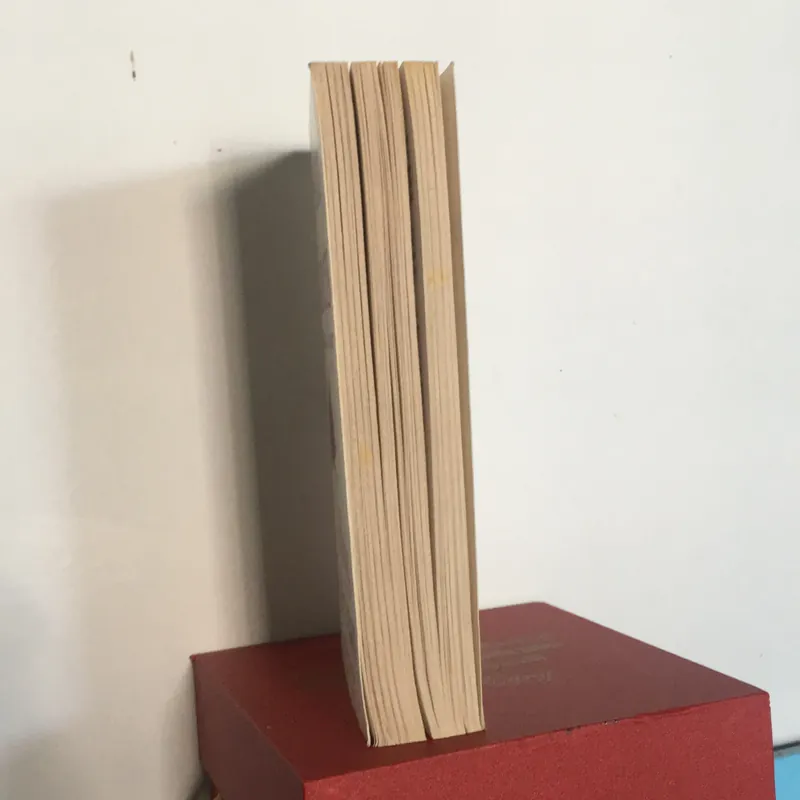 Holding the Dream 735399