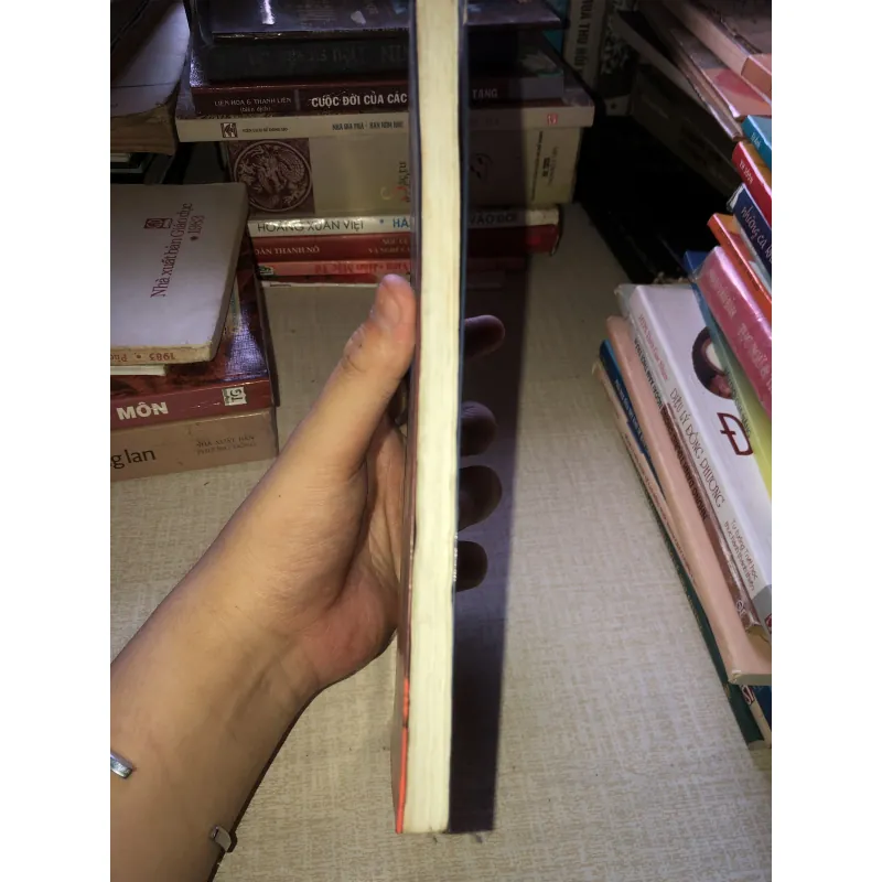 Hai Khối Tình Hồ Biểu Chánh-Nhà xuất bản văn hoá sài gòn 935190