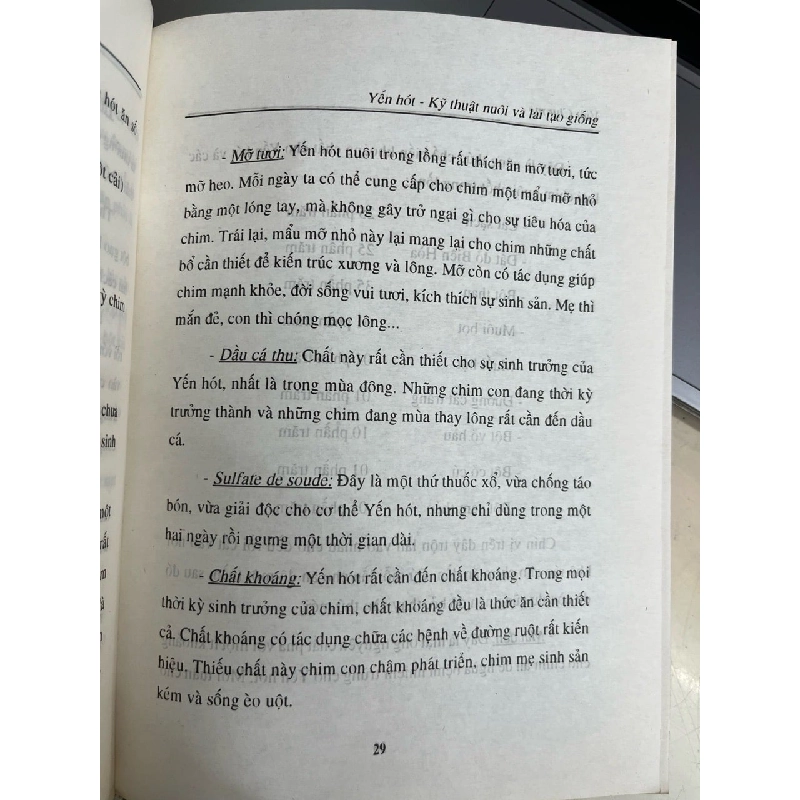 Kỹ thuật nuôi chim yến hót - Việt Chương 999691
