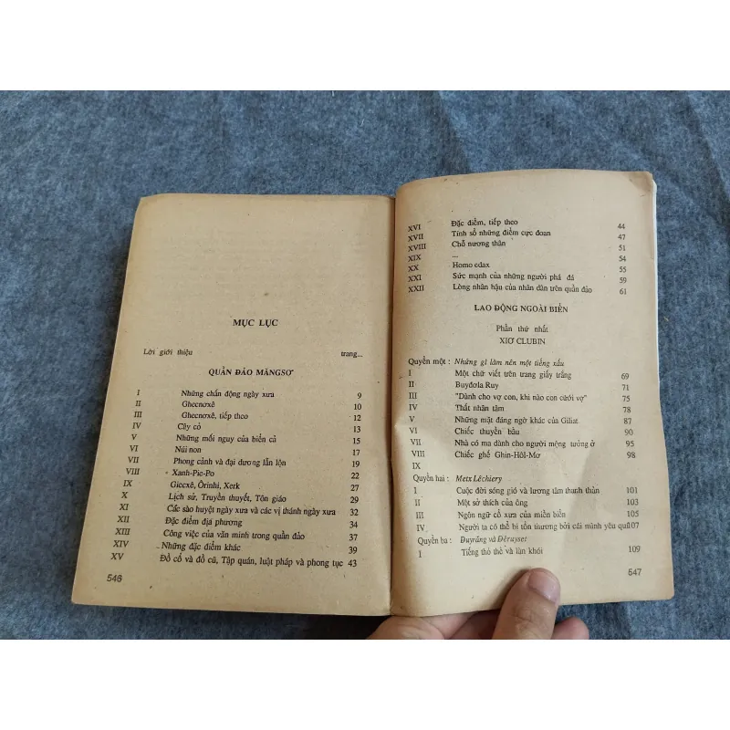 LAO ĐỘNG BIỂN CẢ - VICTOR HUGO 574657