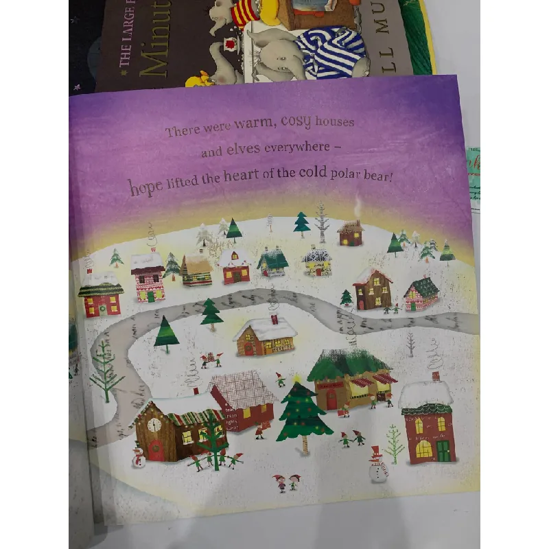 The Polar Bear Who Saved Christmas – Fiona Boon 559689