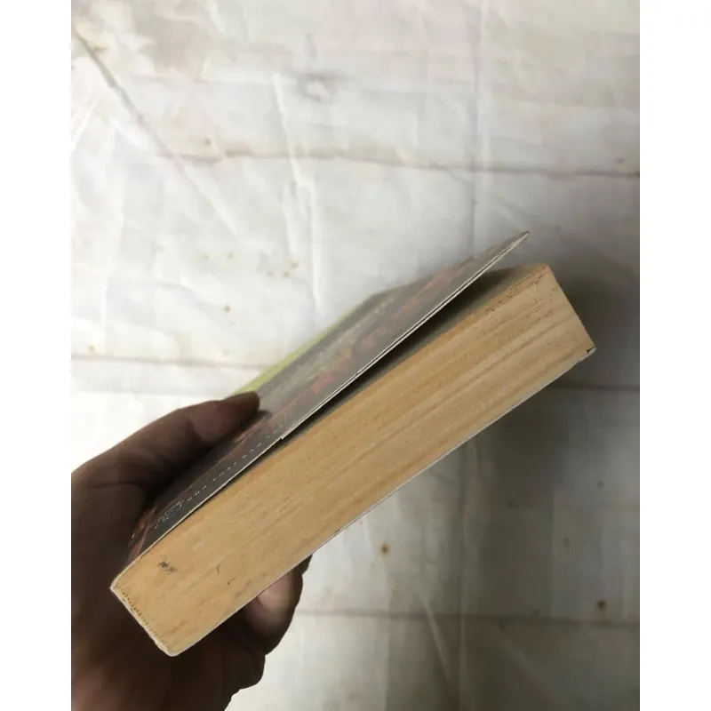 Đêm Giới Nghiêm - Basharat Peer 751560