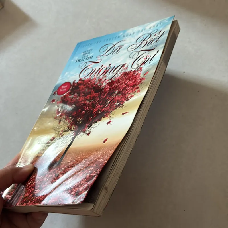 Đã biết tương lai - Hoa học trò 688013