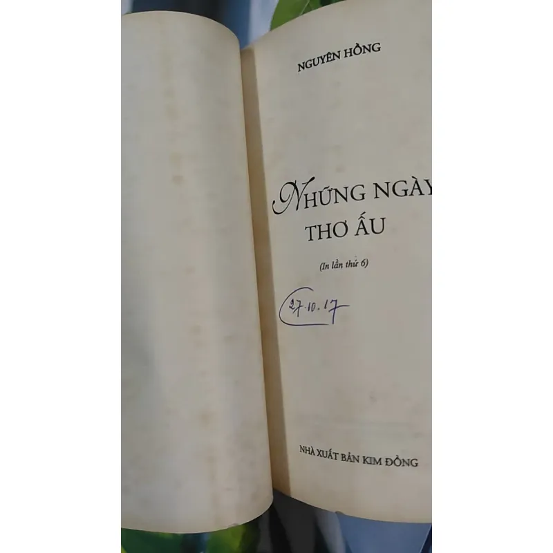 Những ngày thơ ấu - Nguyên Hồng 798507