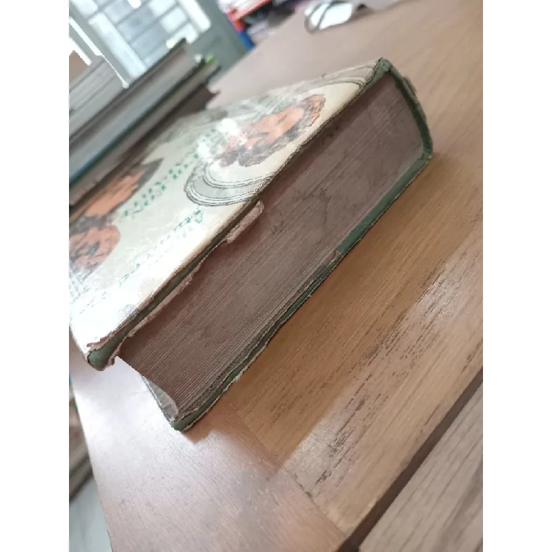 Napoléon Bonaparte - Albert Manfred 574566